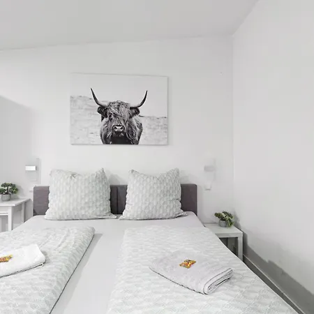 Domspatz Mit Klimaanlage