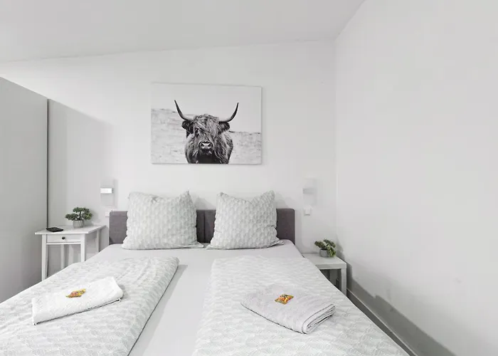 Domspatz Mit Klimaanlage